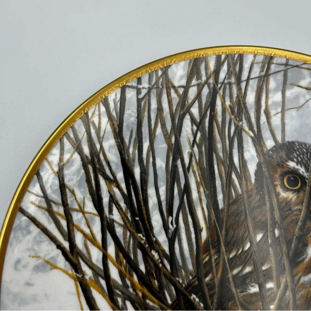 Spode Noble Owls of America Seerey-Lester Saw-whet Owl Art Decorative Plate LE